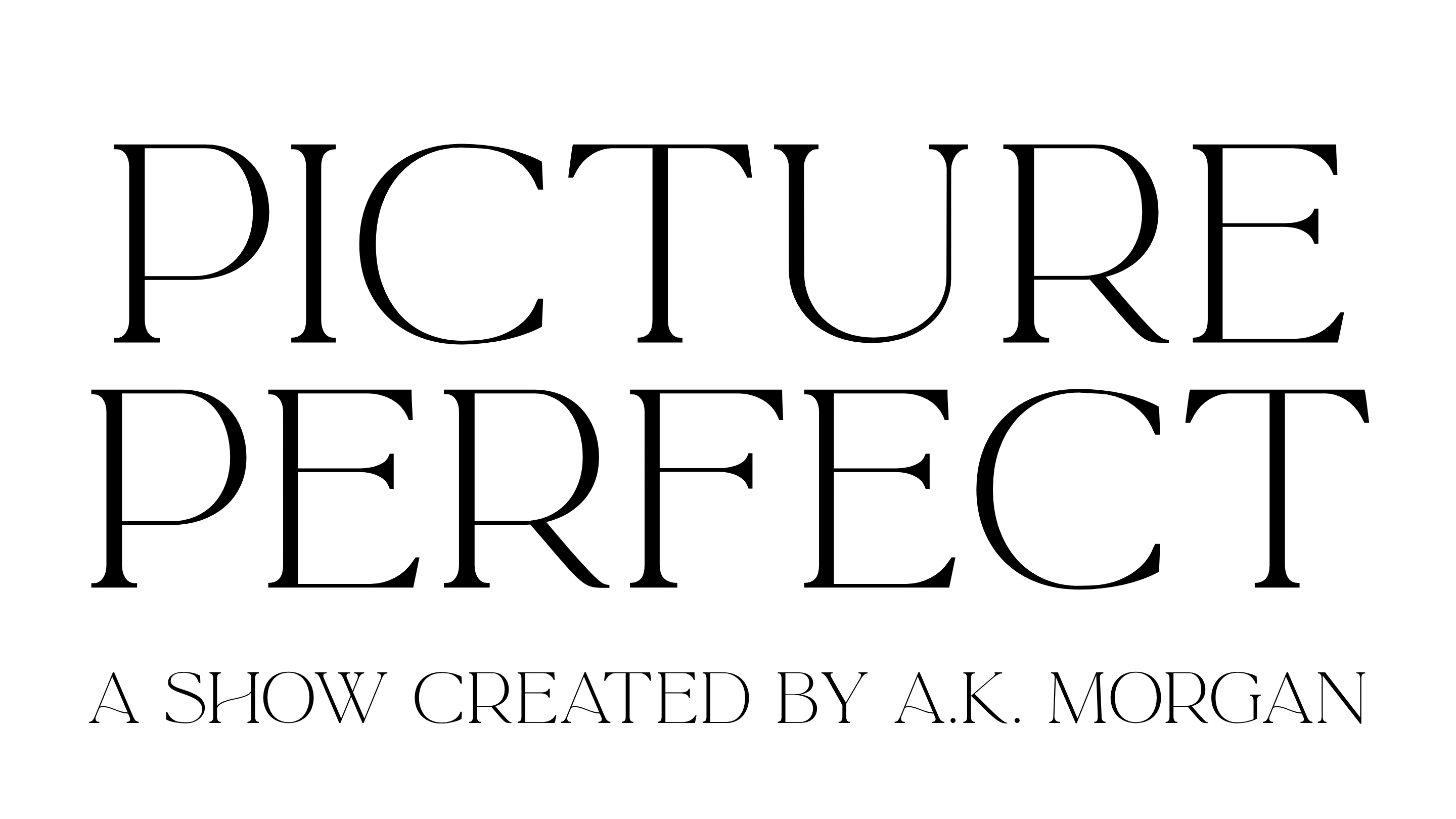 Picture Perfect Pilot Premiere poster
