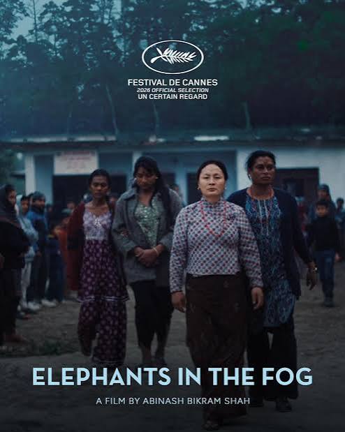 Elephants in the Fog poster