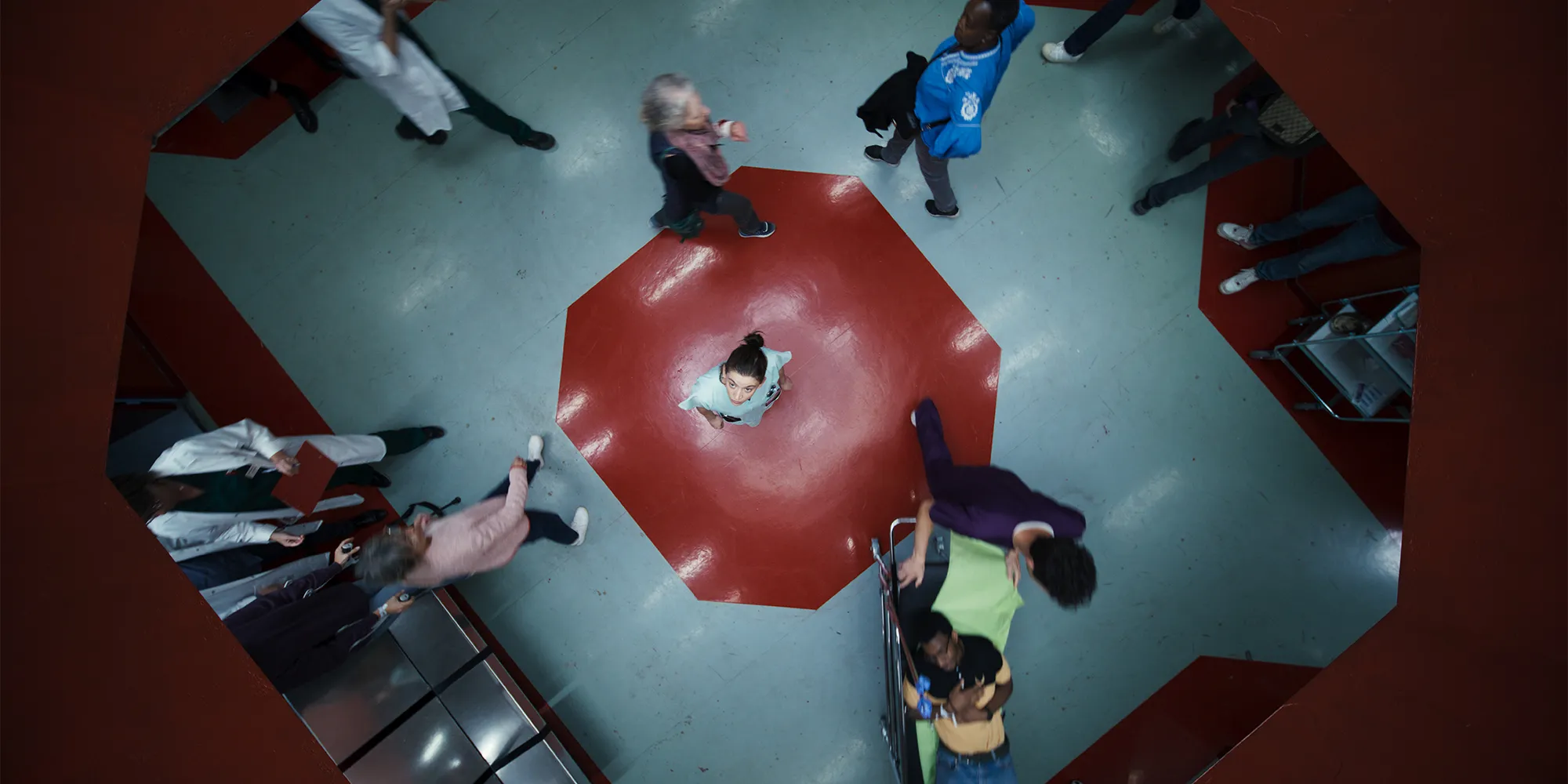 Species poster